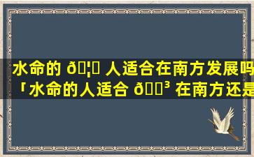 水命的 🦁 人适合在南方发展吗「水命的人适合 🐳 在南方还是北方」